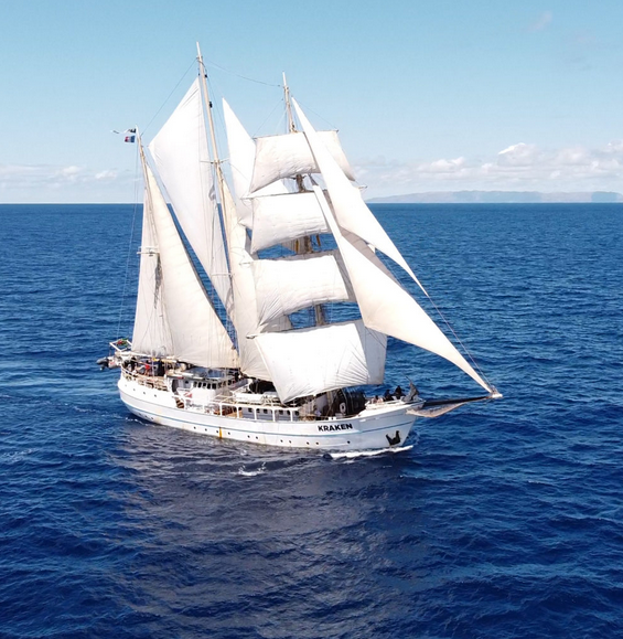 le kraken wings of the ocean